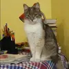 Отзыв от Вика Ершова